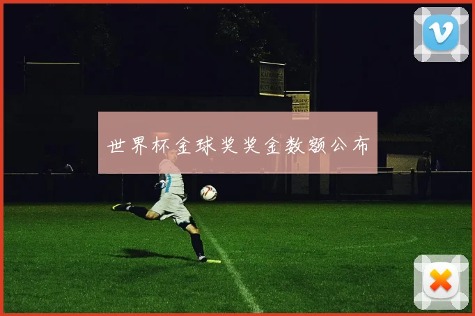 世界杯金球奖奖金数额公布