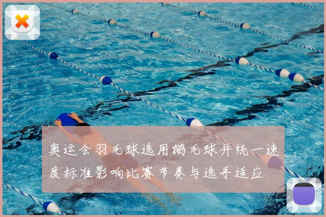 奥运会羽毛球选用鹅毛球并统一速度标准影响比赛节奏与选手适应
