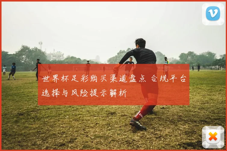 世界杯足彩购买渠道盘点 合规平台选择与风险提示解析